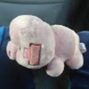 Meet your Posher, Nene